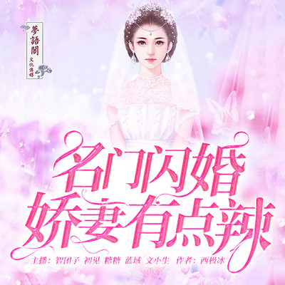 名门闪婚：娇妻有点辣