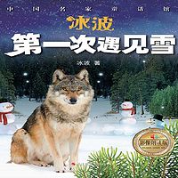 第一次遇见雪