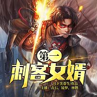 第一刺客女婿