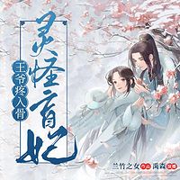 灵怪盲妃，王爷疼入骨