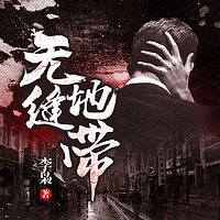 无缝地带