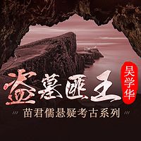 苗君儒考古探险系列4：盗墓匪王