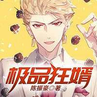 极品狂婿