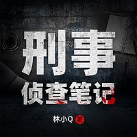 刑事侦查笔记：大案纪实悬疑推理小说