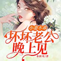 小妻不乖:坏坏老公,晚上见