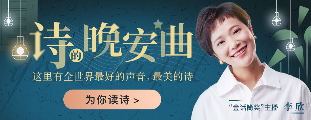 诗的晚安曲