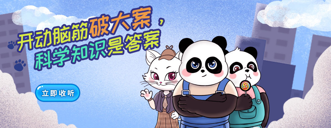 熊猫侦探社