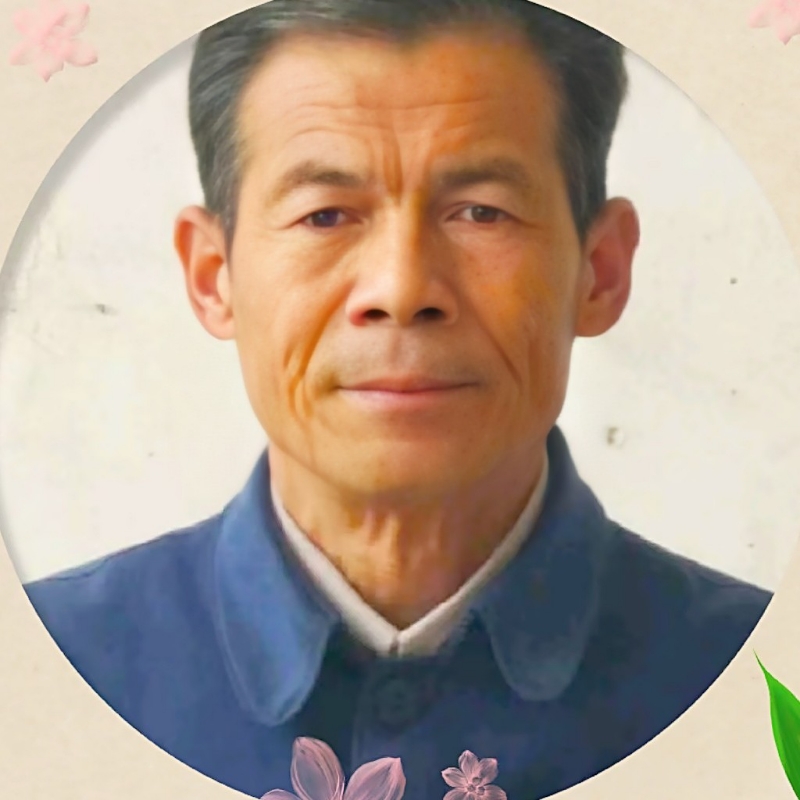 2603248728欢天喜地