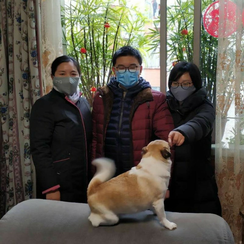 听着听着就睡着