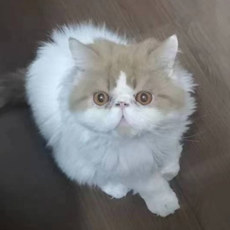 取一个昵称叫什么呢？