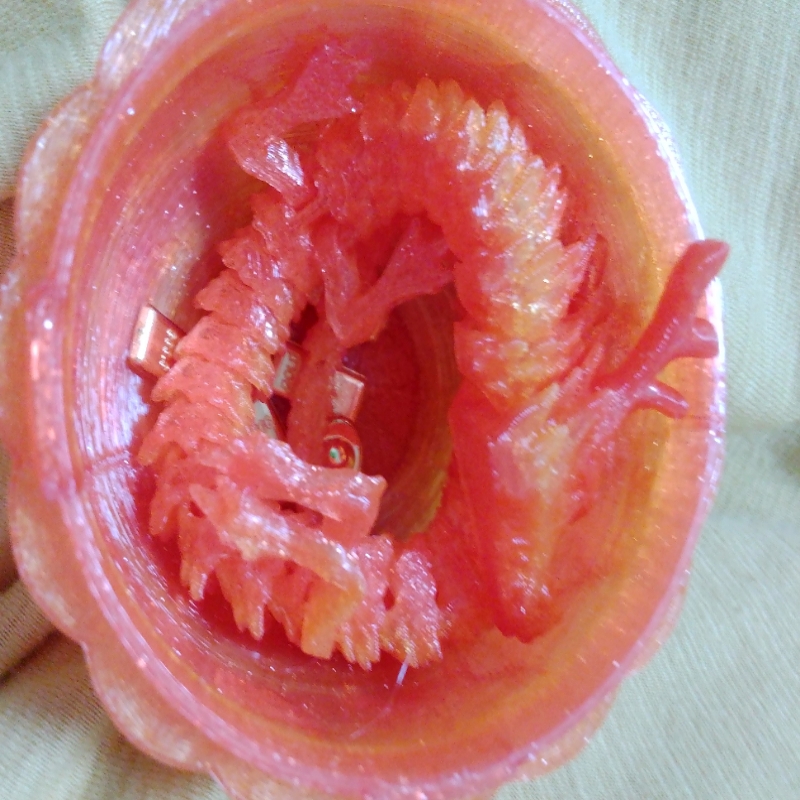 威风的龙
