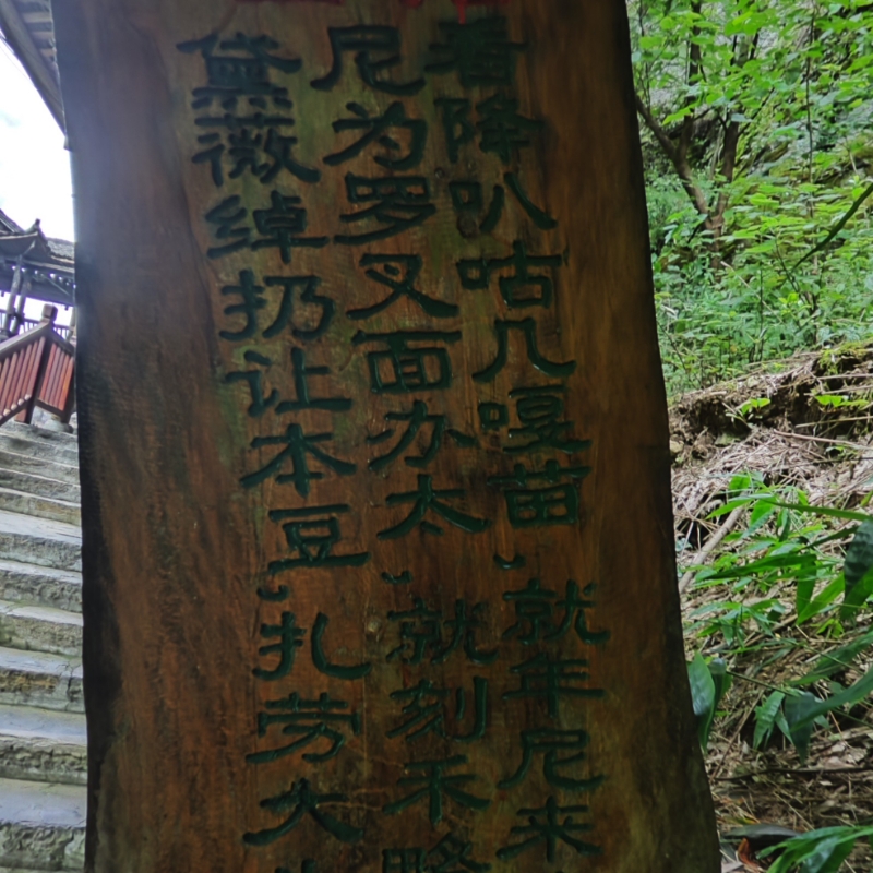老渔夫