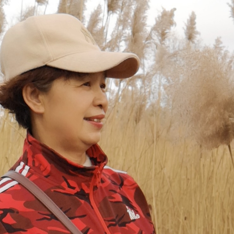 沙漠