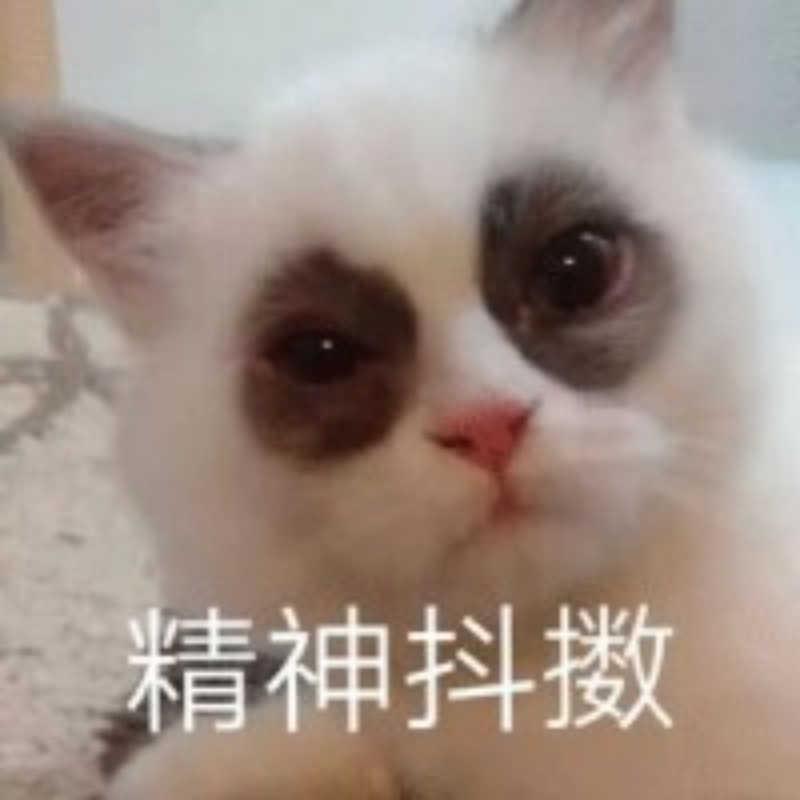 臻