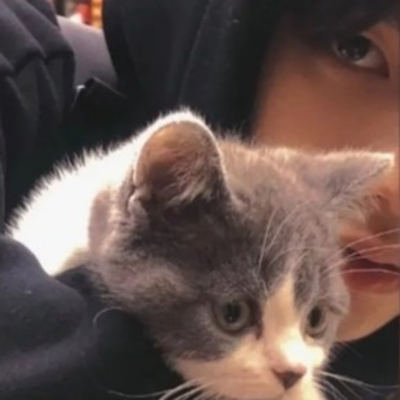 上了王牌来娶你