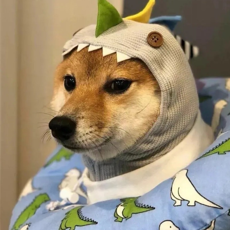 Tom不累