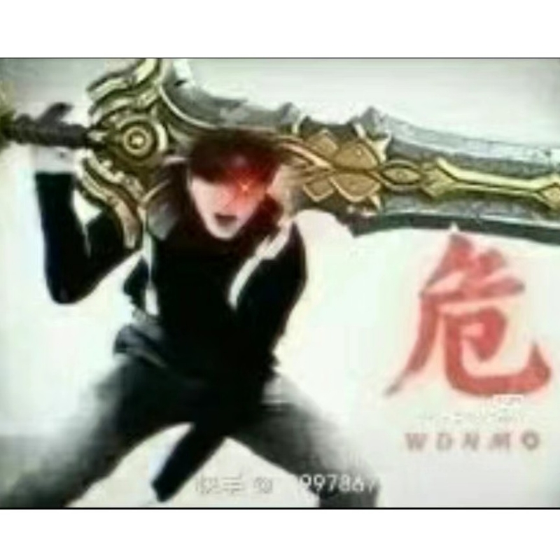 桓桓608