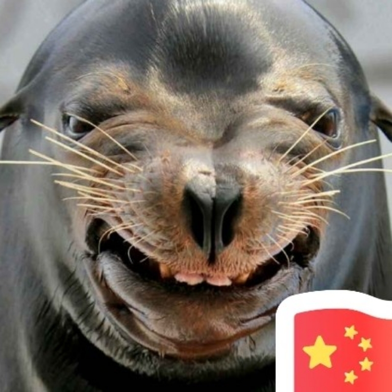 暘