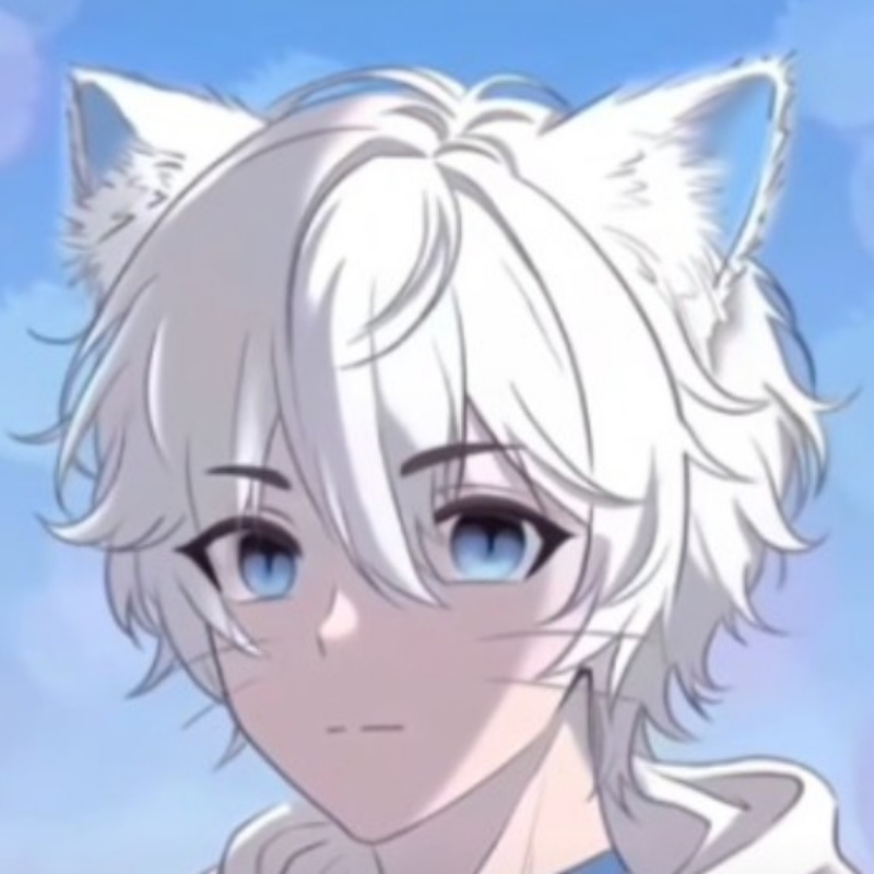 喜猫猫