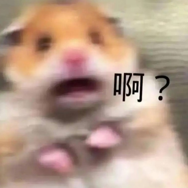 查理九世