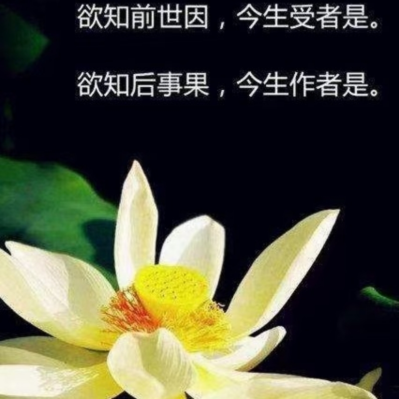 唯香慈