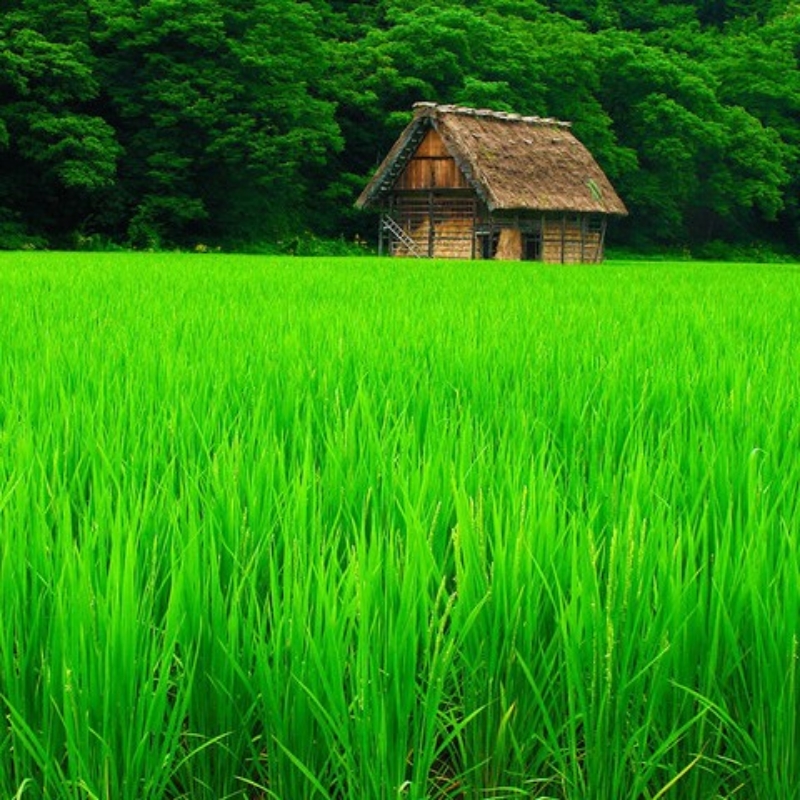 温馨hotmail.com