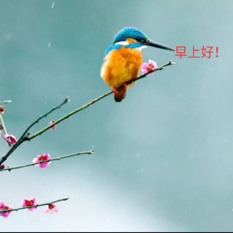 山林草