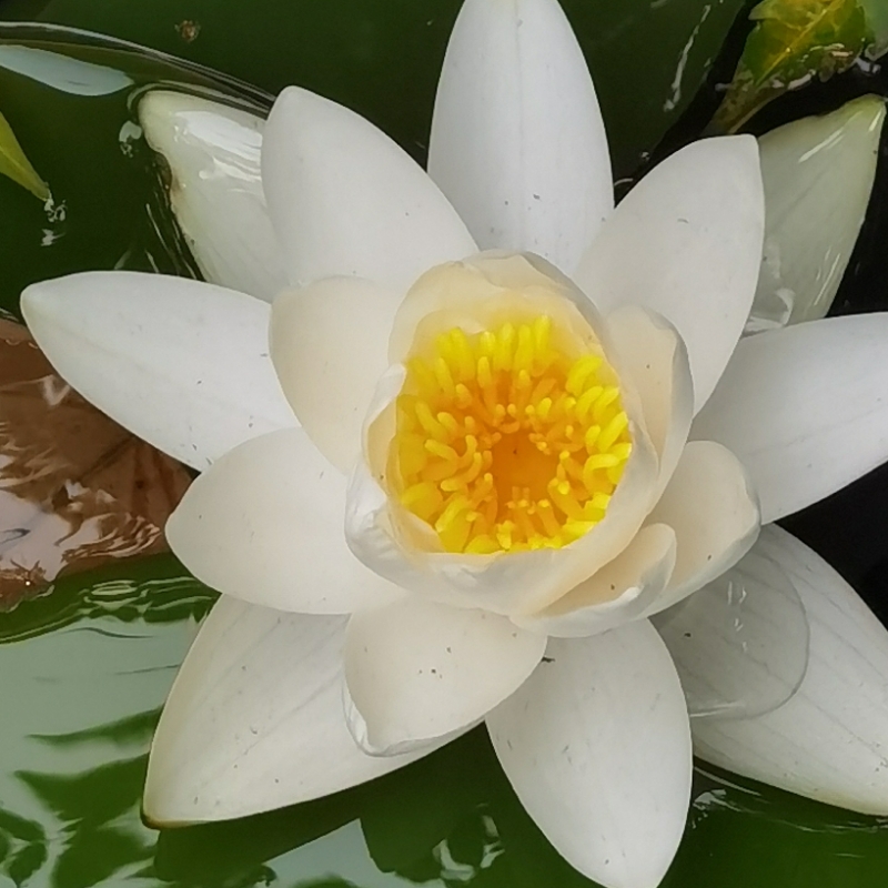 渔樵耕读
