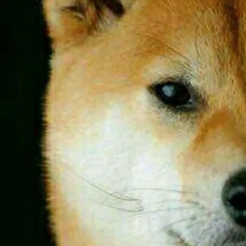 机智的小碗