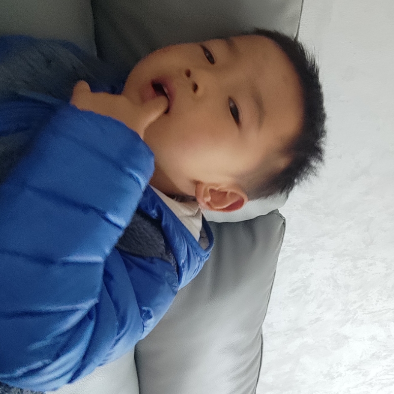 诺诺