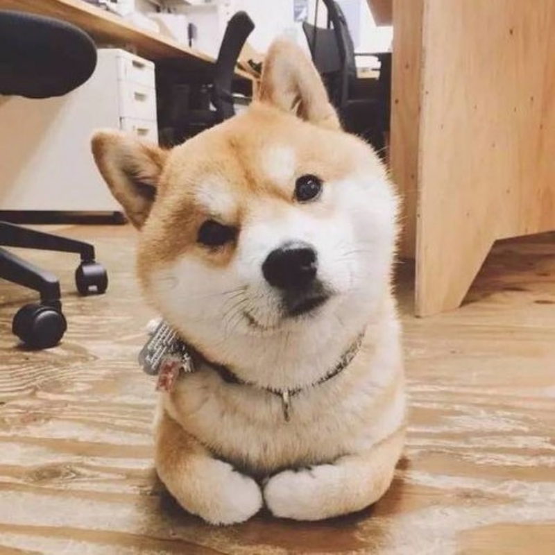 听书不倦