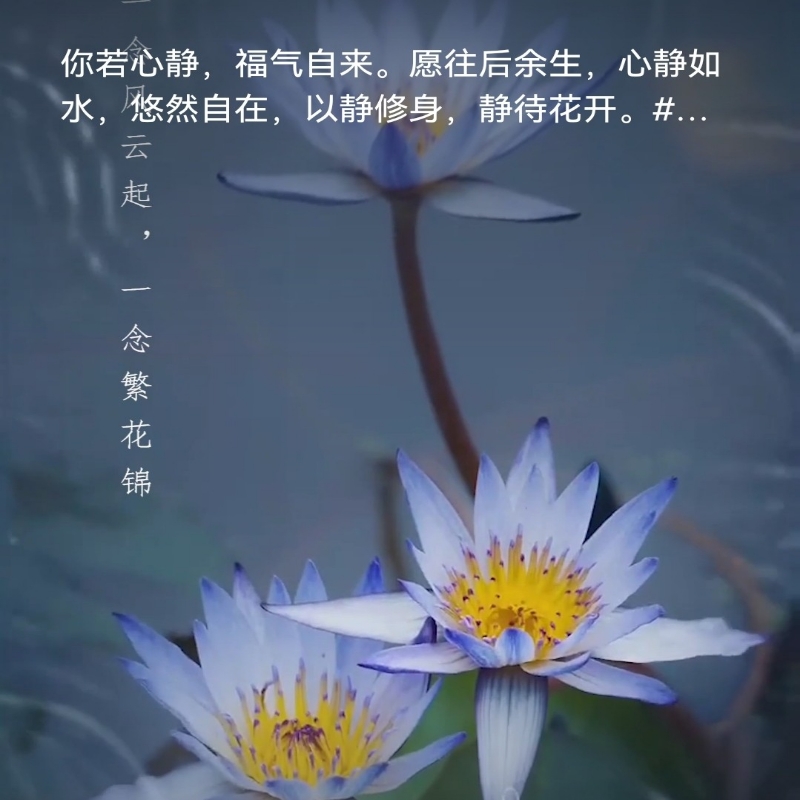 碧空闲云