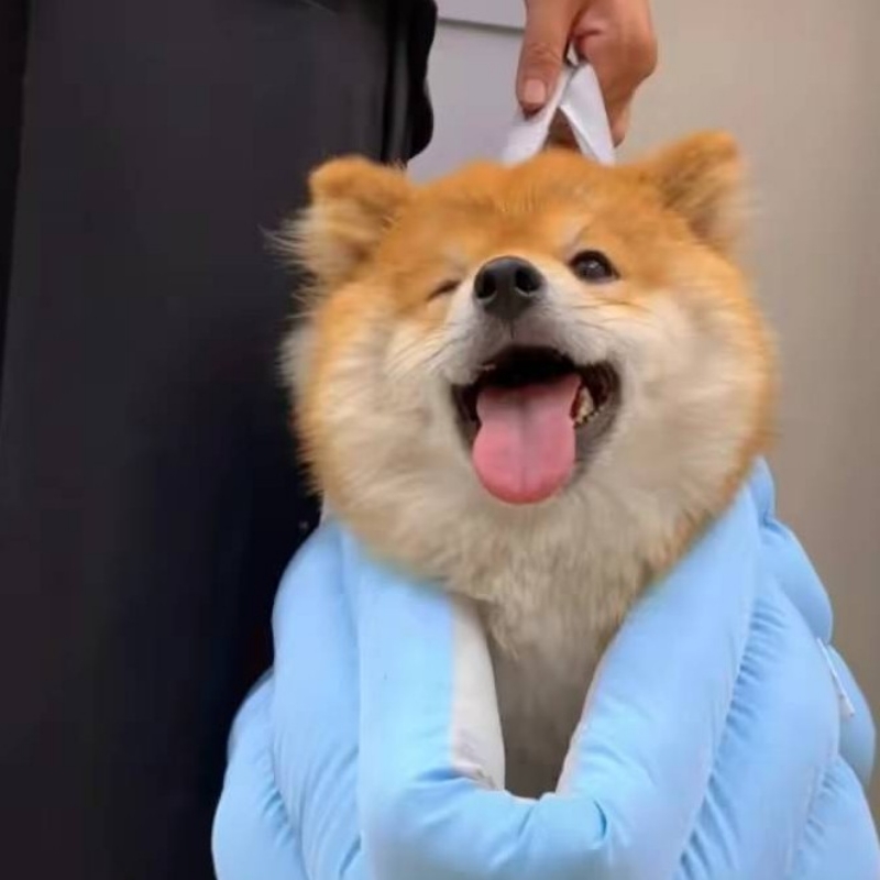屿风丶