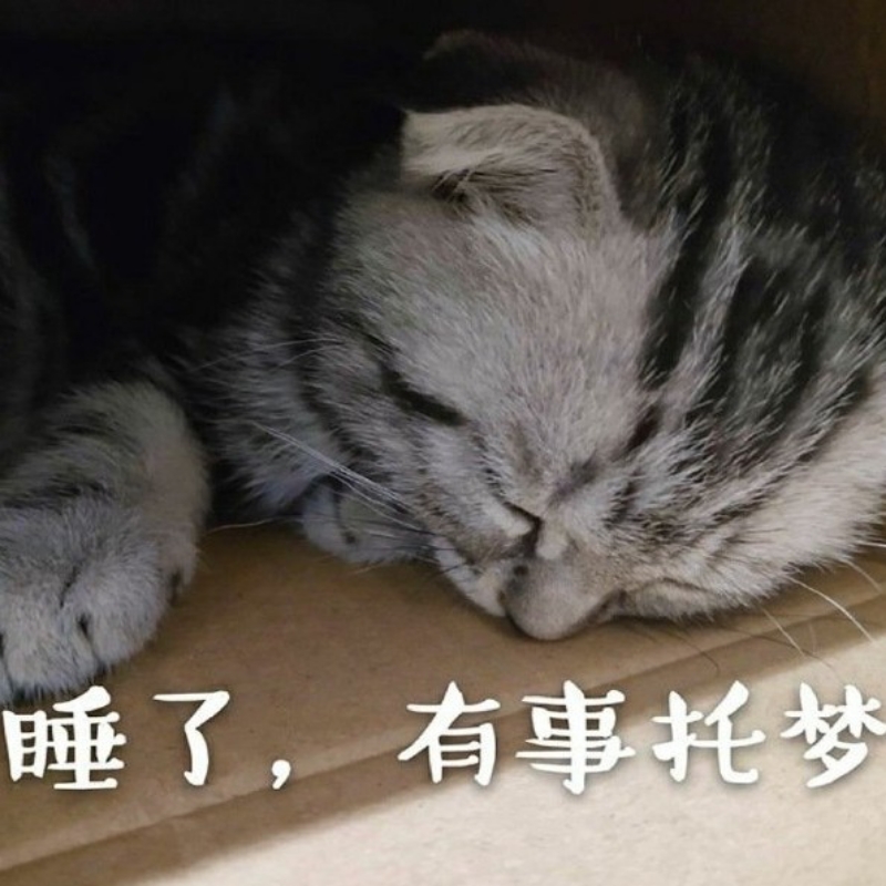 唯你是我晴有所钟