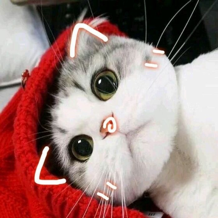 扶摇