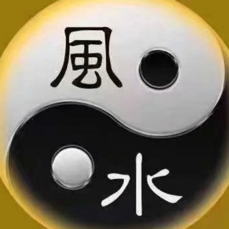林枫我we