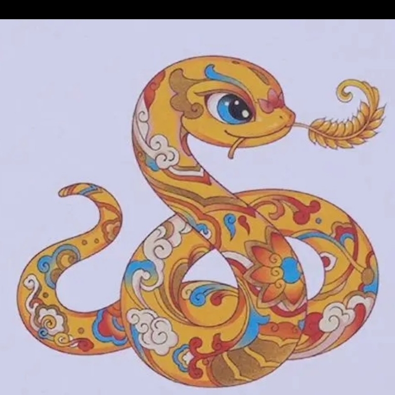 美美的兔兔