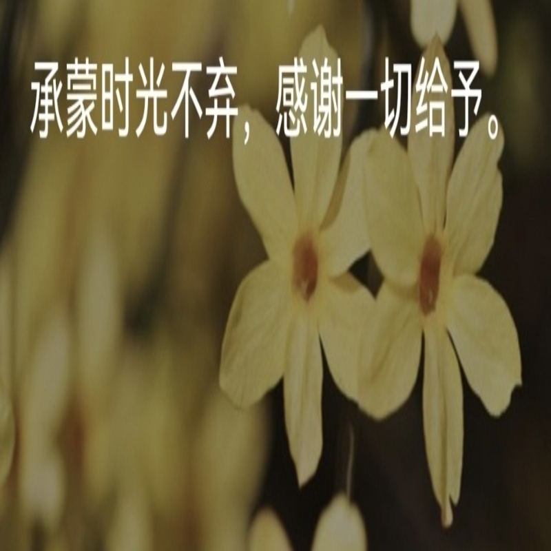 旋律9999