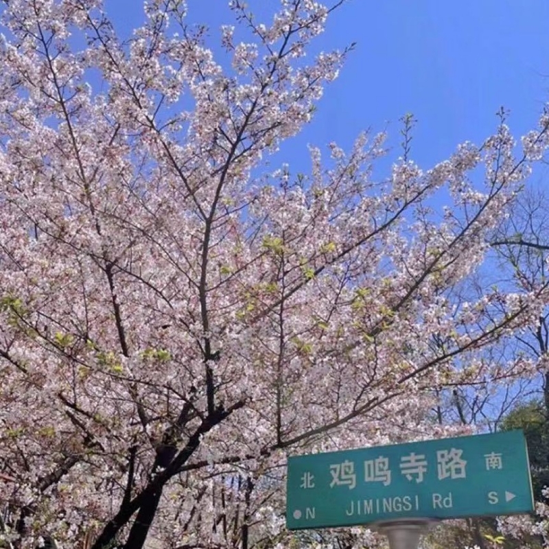 信我所行