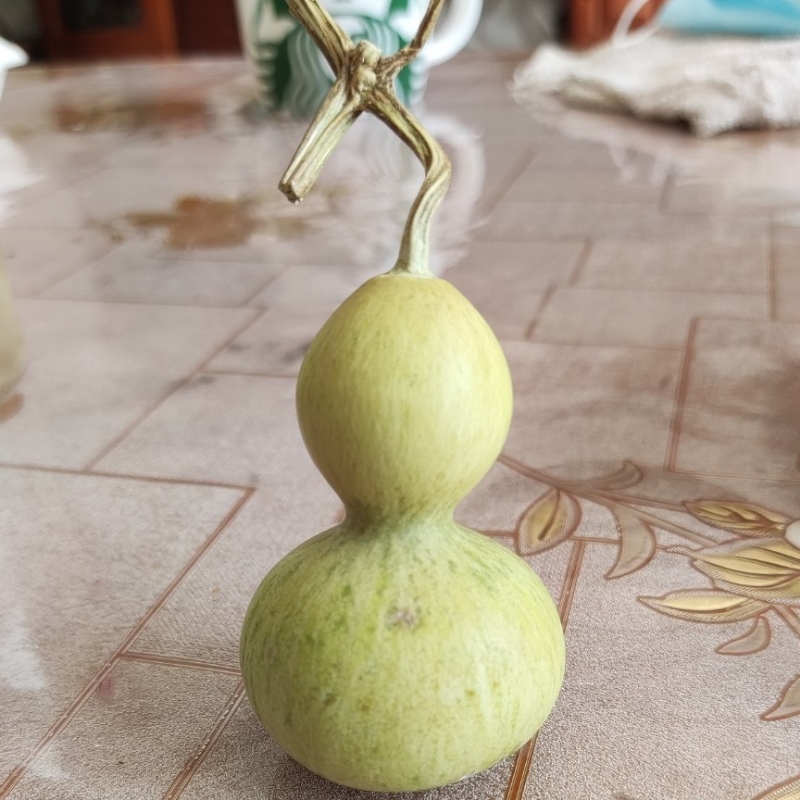 秋天