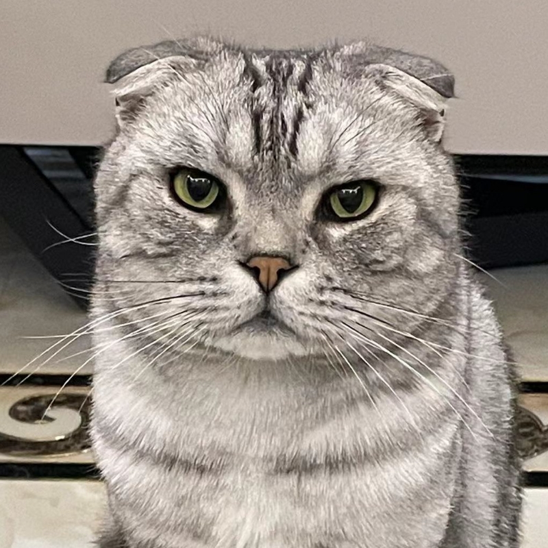 方腊