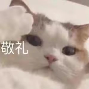 安和桥北、