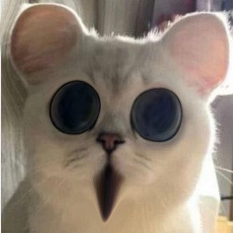 青春那么狂