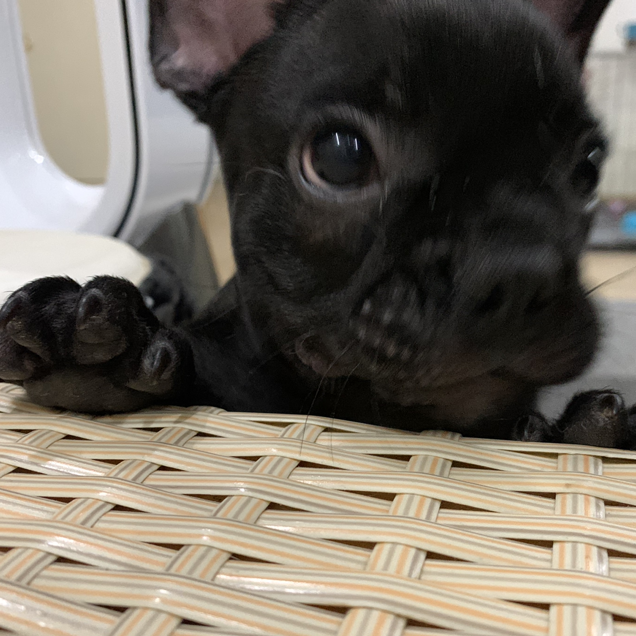 Zoe_n