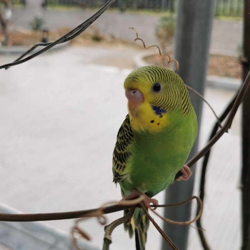 小小一二