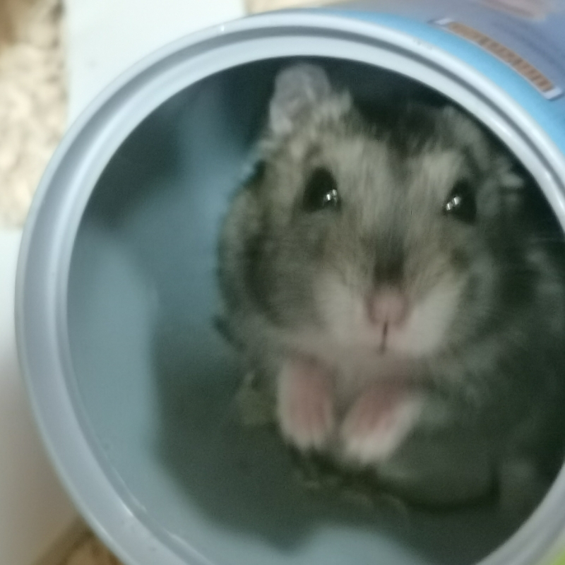 不闹了