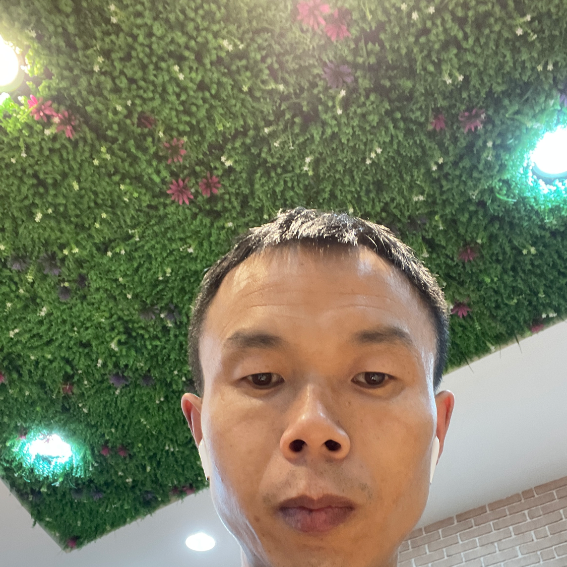 汪浪浪