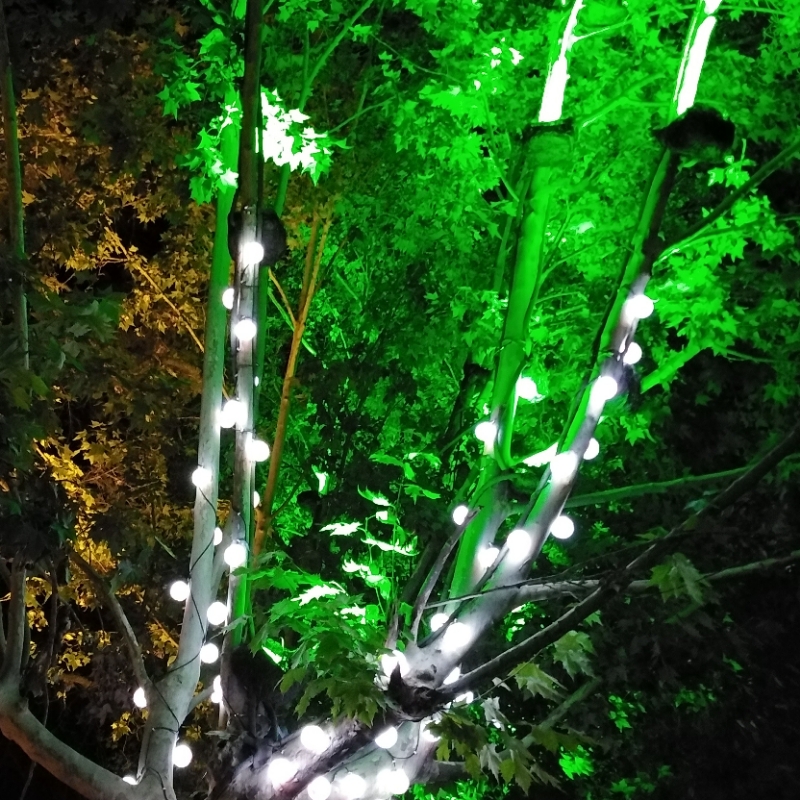 泪光里的天空