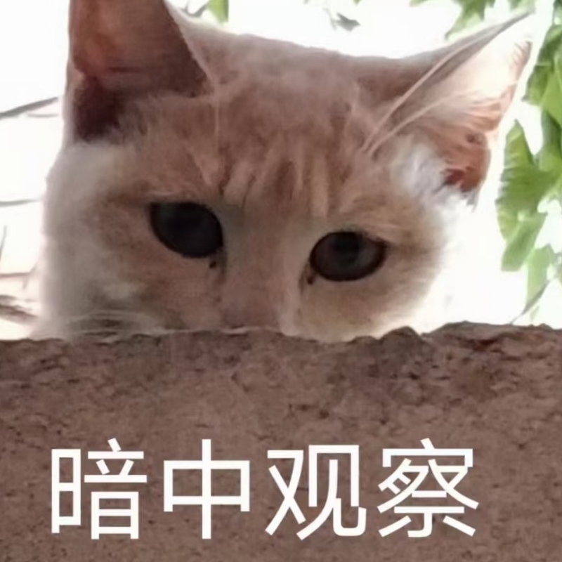 我是恶龙