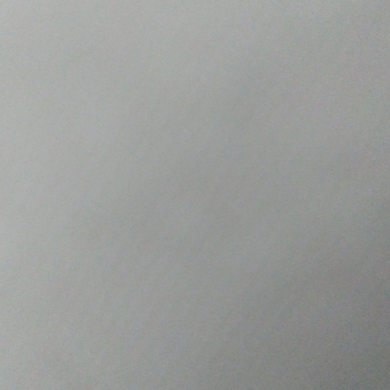 居北子